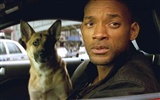 I Am Legend HD papel tapiz #8