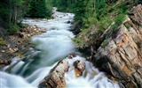 Waterfall streams wallpaper (4) #3