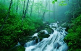 Waterfall streams wallpaper (4) #6