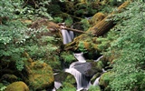 Waterfall streams wallpaper (4) #9