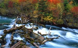 Waterfall-Streams Wallpaper (4) #12