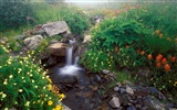 Waterfall streams wallpaper (4) #13