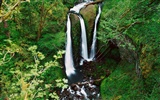 Waterfall streams wallpaper (4) #17