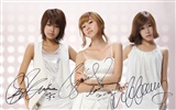 Girls Generation Wallpaper (3) #3
