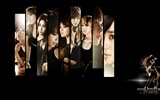 Girls Generation Wallpaper (4) #13