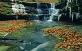 Waterfall streams wallpaper (5) #2