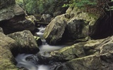 Waterfall streams wallpaper (5) #13