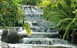 Waterfall streams wallpaper (5) #19