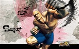 Super Street Fighter 4 Fondos de pantalla HD #10