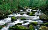 Waterfall streams wallpaper (6) #3