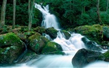 Waterfall-Streams Wallpaper (6) #4