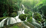 Waterfall streams wallpaper (6) #6