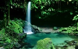 Waterfall streams wallpaper (6) #7