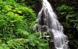 Waterfall-Streams Wallpaper (6) #8