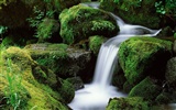 Waterfall-Streams Wallpaper (6) #9