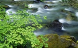 Waterfall streams wallpaper (6) #12