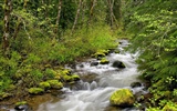 Waterfall streams wallpaper (6) #13