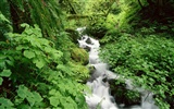 Waterfall streams wallpaper (6) #15