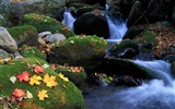 Waterfall streams wallpaper (6) #19