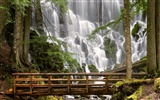 Waterfall-Streams Wallpaper (6) #20