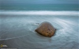 National Geographic Tier Wallpaper Album (3) #18