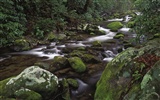 Cascada arroyos fondo de pantalla (7) #9