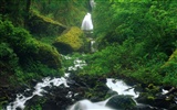 Waterfall streams wallpaper (7) #12