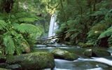 Waterfall streams wallpaper (7) #14