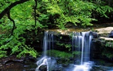 Waterfall streams wallpaper (7) #18