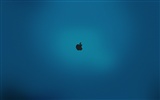 Apple theme wallpaper album (17) #11