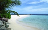 Beach Landschaft Wallpaper (1) #1