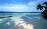 Beach scenery wallpapers (1) #11