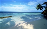 Beach Landschaft Wallpaper (1) #11