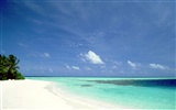 Beach scenery wallpapers (1) #16