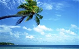 Beach scenery wallpapers (1) #20