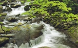 Waterfall streams wallpaper (8) #2