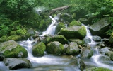 Waterfall-Streams Wallpaper (8) #16