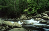 Waterfall streams wallpaper (8) #18