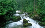 Waterfall streams wallpaper (8) #19