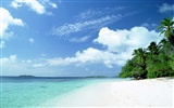 Beach Landschaft Wallpaper (2) #10