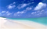 Beach scenery wallpapers (2) #20