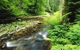 Waterfall streams wallpaper (9)