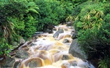 Waterfall streams wallpaper (9) #3