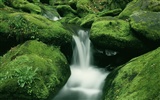 Waterfall-Streams Wallpaper (9) #4