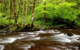 Waterfall streams wallpaper (9) #7