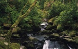 Waterfall-Streams Wallpaper (9) #8