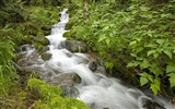 Waterfall-Streams Wallpaper (9) #10