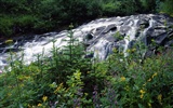 Waterfall streams wallpaper (9) #13