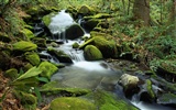 Cascada arroyos fondo de pantalla (9) #20