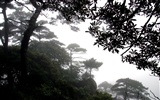 Fotografía de paisaje (9) (Li trabaja Shanquan) #6